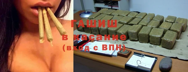 хмурый Алексин