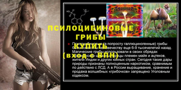 эйфоретик Сосновка