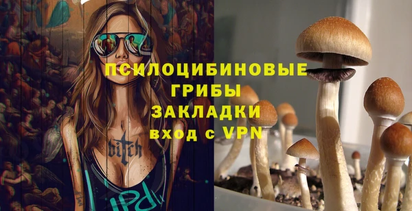 хмурый Алексин