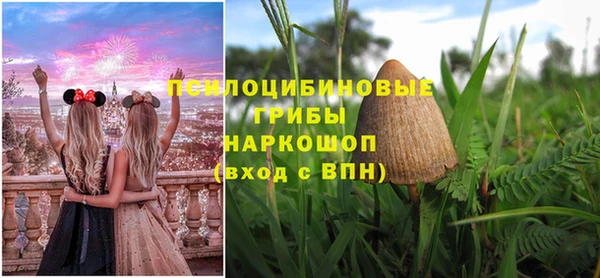 ешки Алзамай