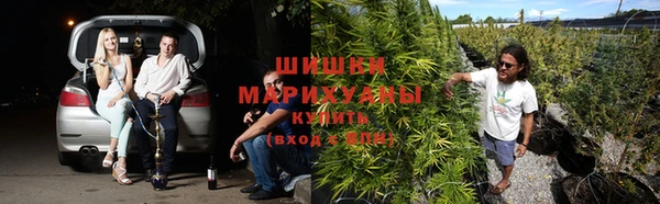 ешки Алзамай