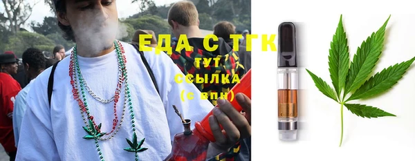 хмурый Алексин